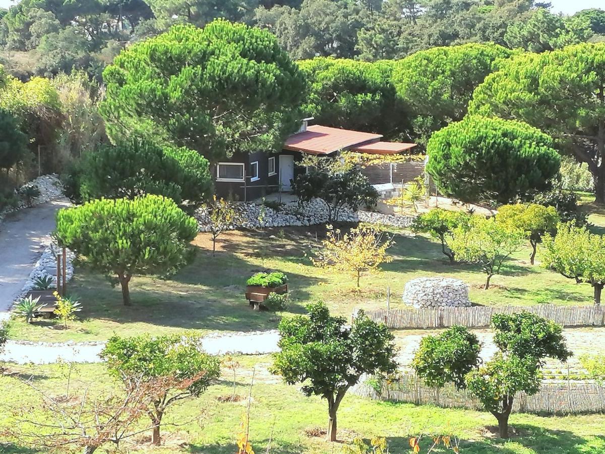 Quinta do Meco - Beach & Nature Aldeia do Meco Zewnętrze zdjęcie